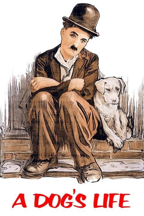 Bir Köpeğin Hayatı izle