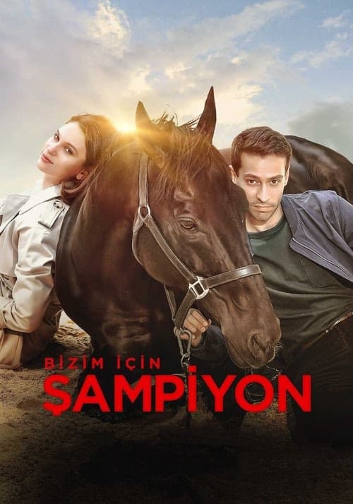 Bold Pilot - Bizim İçin Şampiyon izle