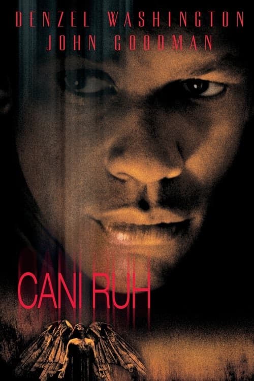 Cani Ruh izle