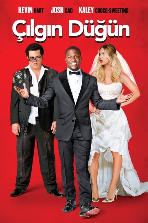 Çılgın Düğün izle