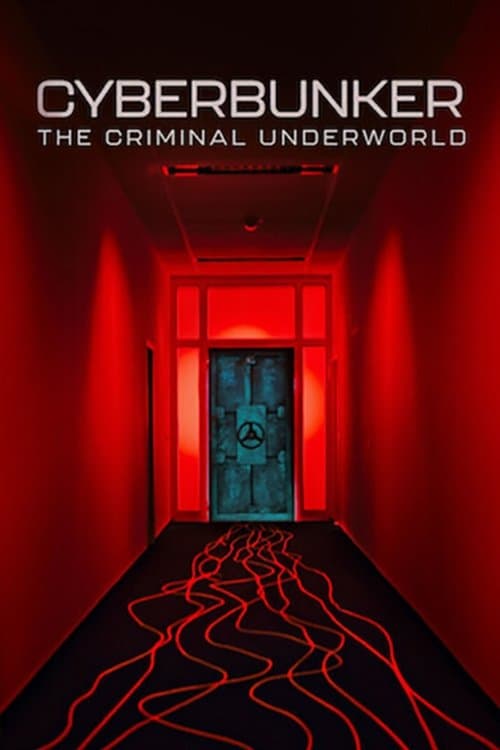 Cyberbunker: Darknet'in Almanya'daki Merkezi izle