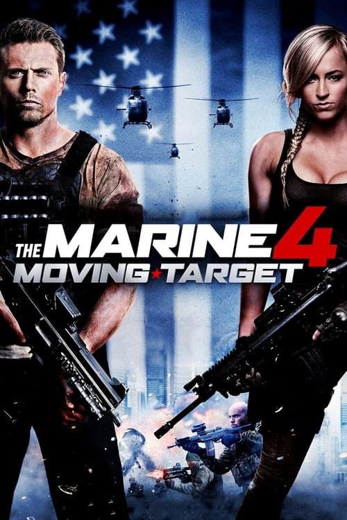 Denizci 4: Beklenmedik Hedef izle