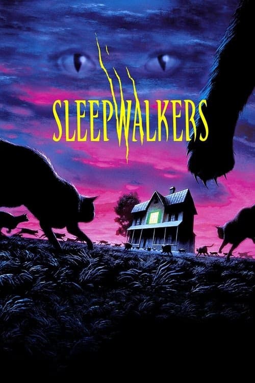 Dönüşüm izle