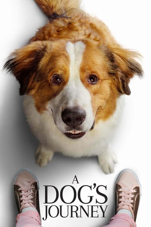 A Dog's Purpose
