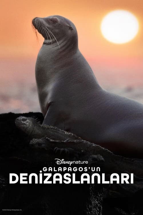 Galapagos'un Denizaslanları izle