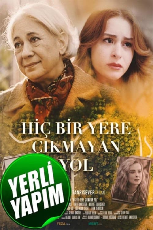 Hiçbir Yere Çıkmayan Yol izle