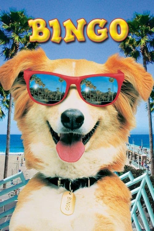 Kahraman Köpek Bingo izle