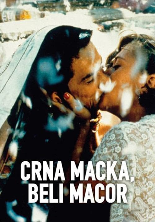 Kara Kedi, Ak Kedi izle