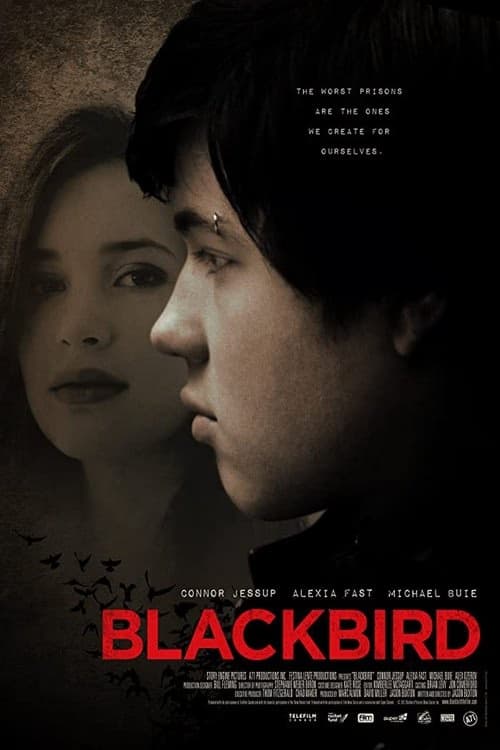Karakuş izle
