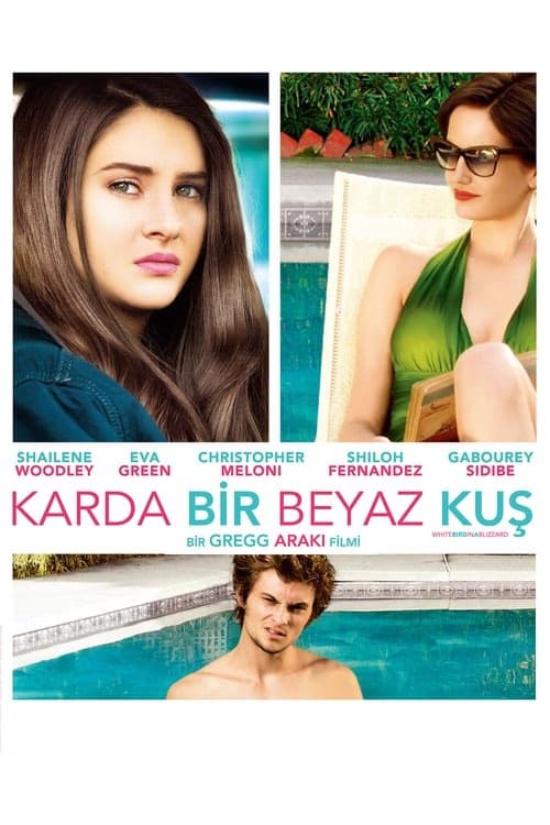 Karda Bir Beyaz Kuş izle