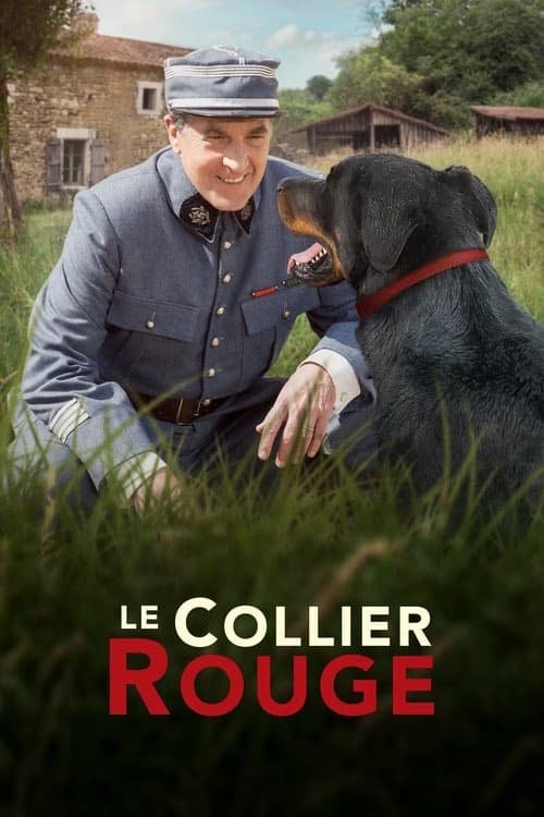 Kırmızı Yaka izle