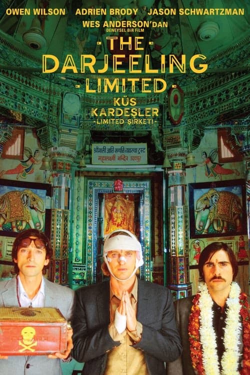 Küs Kardeşler Limited Şirketi izle