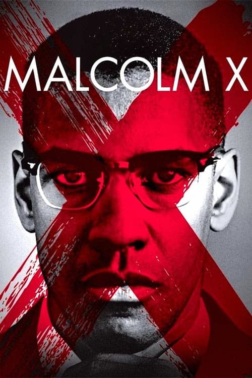 Malcolm X izle