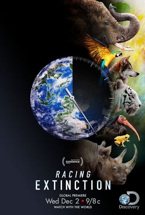 Nesli Tüketme Yarışı izle