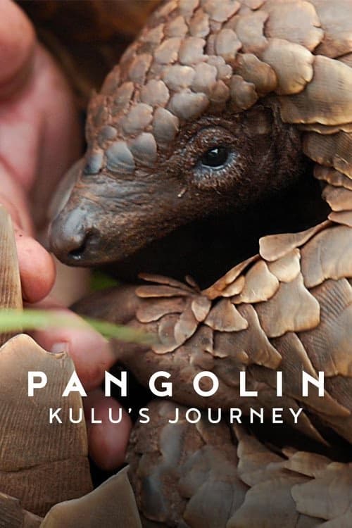 Pangolin: Kulu'nun Yolculuğu izle