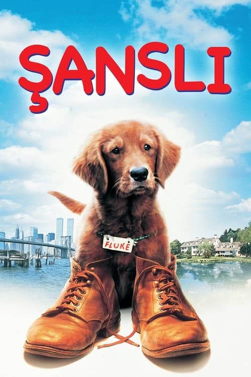 Şanslı izle
