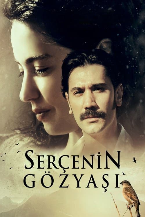 Serçenin Gözyaşı izle