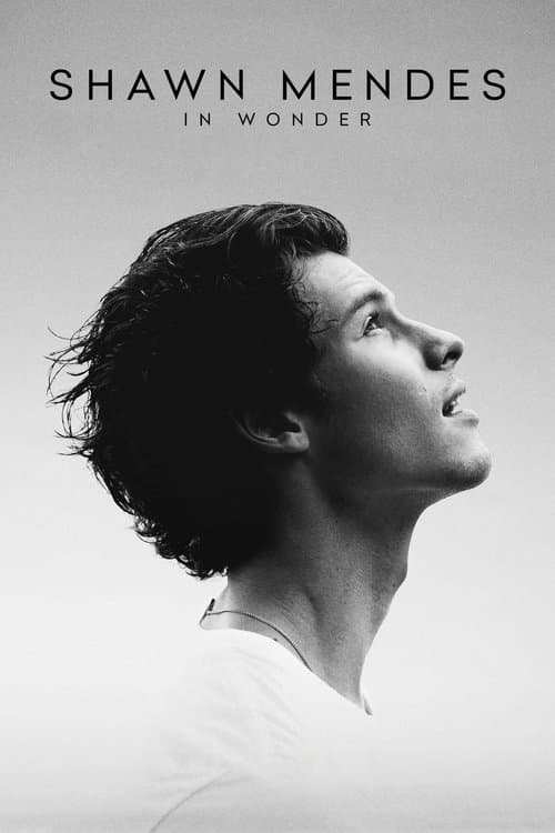 Shawn Mendes: In Wonder izle