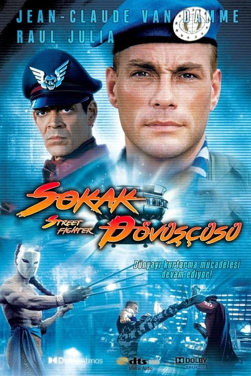 Sokak Dövüşçüsü izle