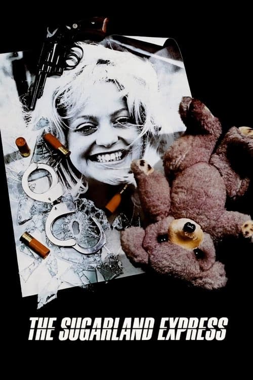 Sugarland Ekspresi izle