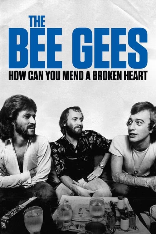 The Bee Gees: How Can You Mend a Broken Heart izle