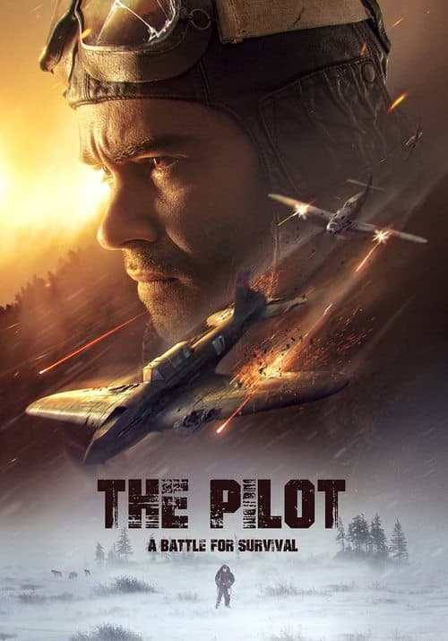 Bir Pilotun Hayatta Kalma Mücadelesi izle