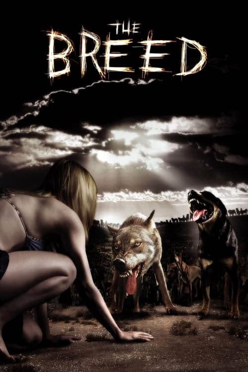 Vahşi Irk izle