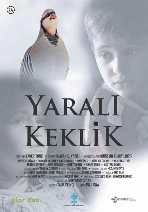 Yaralı Keklik izle