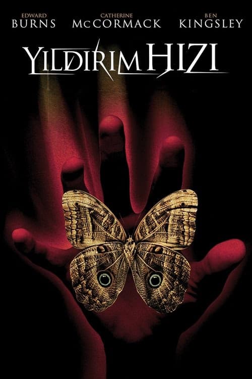 Yıldırım Hızı izle