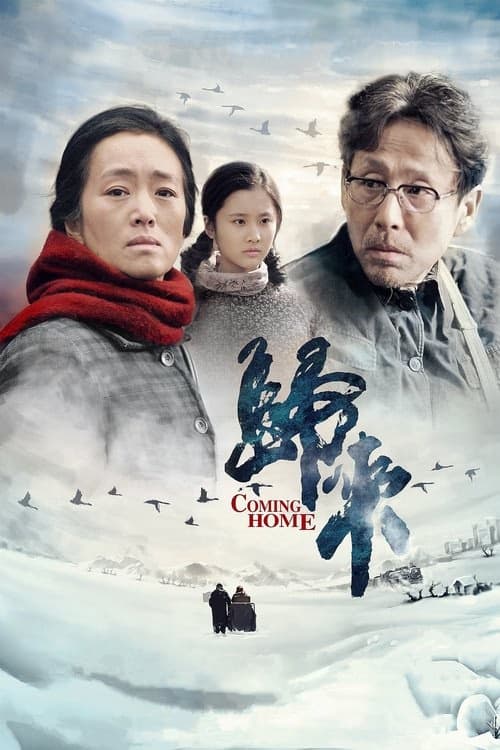 Yuvaya Dönüş izle