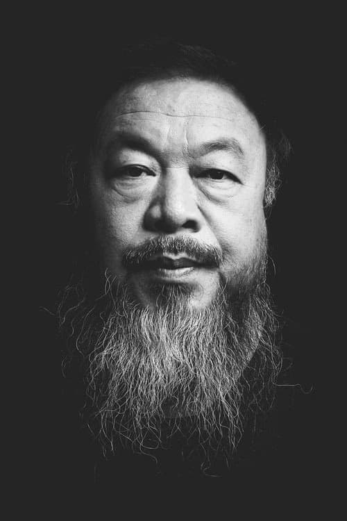 Ai Weiwei filmleri