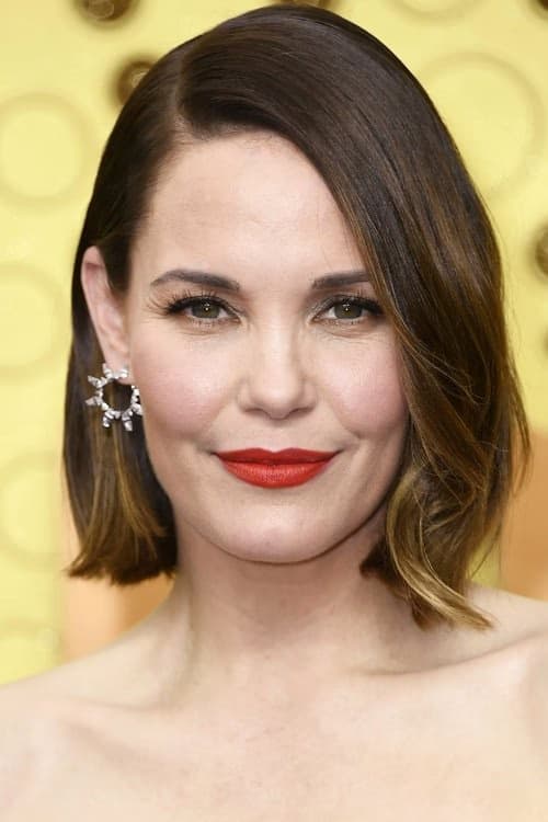 Leslie Bibb filmleri