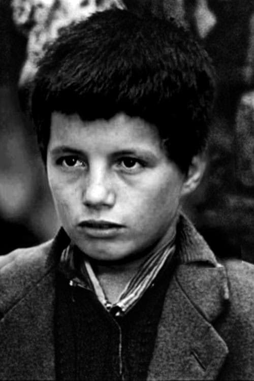 Mohamed Ben Kassen filmleri
