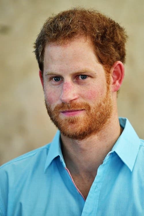 Prince Harry, Duke of Sussex filmleri
