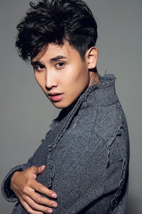 Sun Zhenpeng filmleri