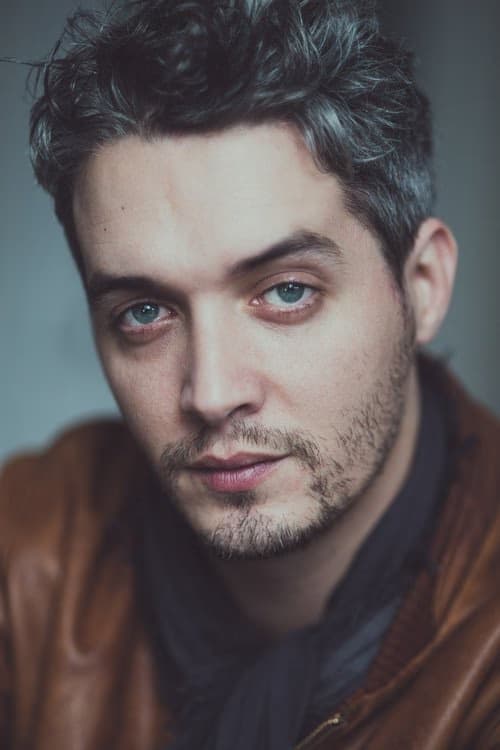 Sylvain Dieuaide filmleri