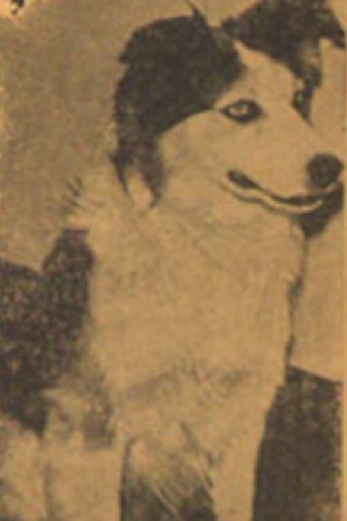 Tuffy filmleri